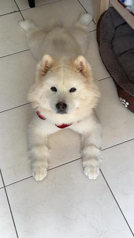 Kathy - 在家無憂無慮就是開心?