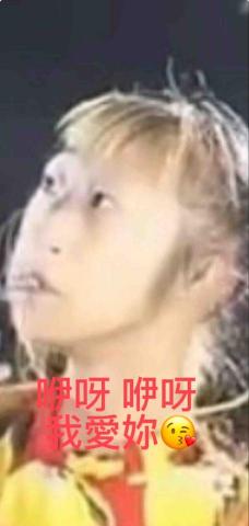 提供遛狗服務的專家小俊