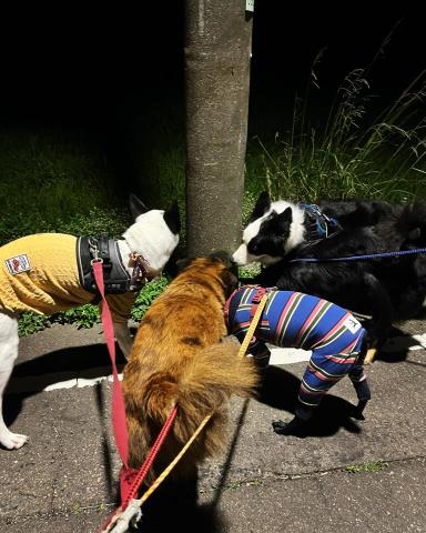 余艾蓁 - 放電散散步