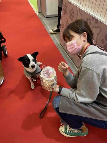 Tess Chen -  展場活動執行