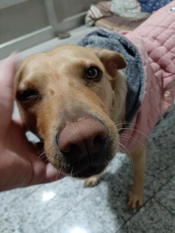 許橘子 - 賣萌撒嬌中～