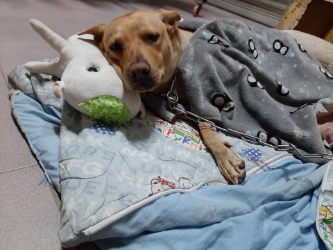 許橘子 - 嗯？我要睡了啦，不要拍了