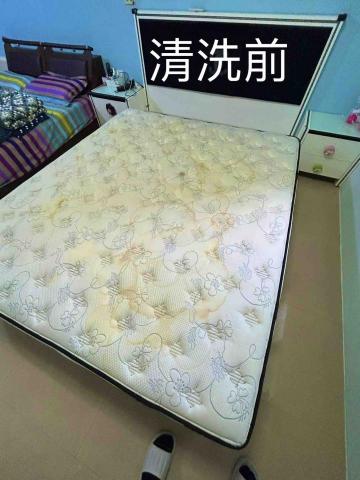 淨哲居家 沙發 床墊 - 