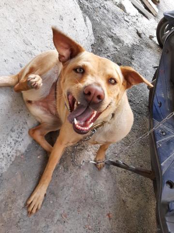 許橘子 - 一起玩一起玩．．