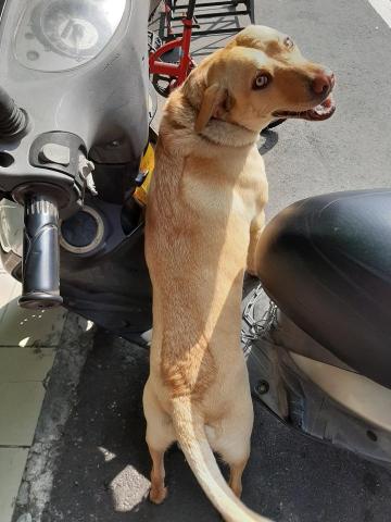 許橘子 - 姐姐，我們今天要去哪？