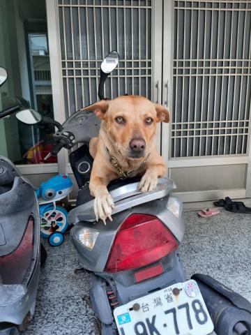 許橘子 - 嘿！想去兜風