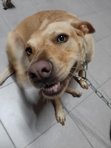 許橘子 - 我在抓癢，這樣也要拍？