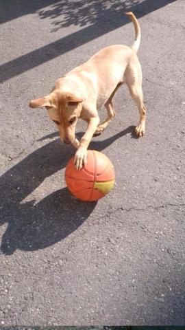 許橘子 - 碰到球，整個眼神都變殺了