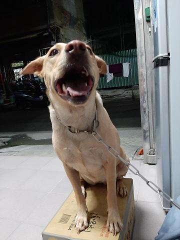 許橘子 - 姐姐，我們要去哪裡玩？