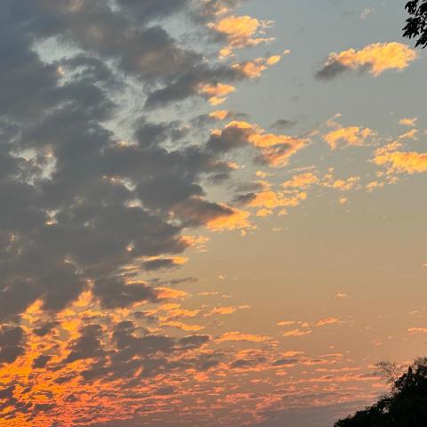 提供文件翻譯服務的專家紀盈卉