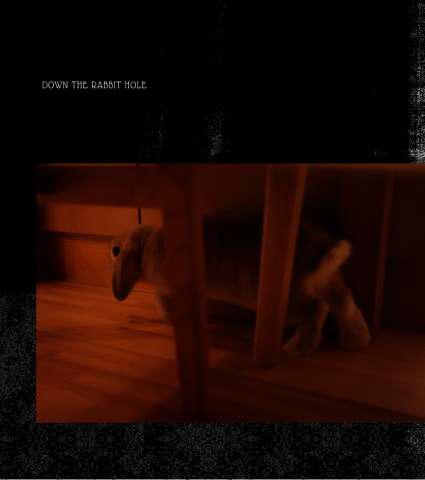 Jani - 獨立刊物
攝影小誌：Down the rabbit hole (21x21 cm)(2023)
內容以攝影為主軸，裝訂方式為騎馬釘