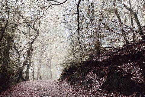 何芳綺 - 照片後製修圖 何芳綺 - 照片後製修圖