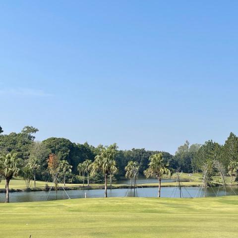 提供練習打注音服務的專家糖糖