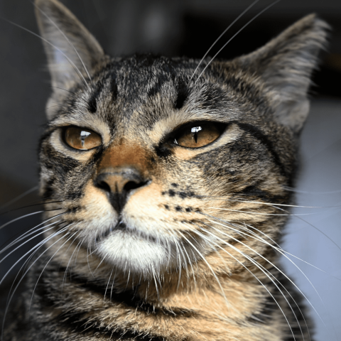 何芳綺 - 照片後製修圖 何芳綺 - 照片後製修圖