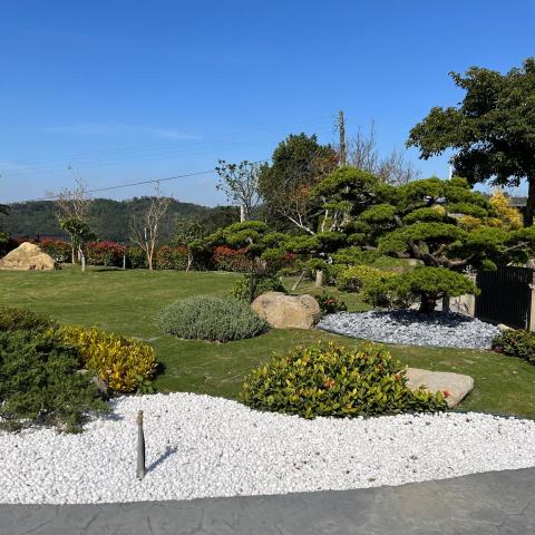 提供防治螞蟻服務的專家楊漢宇