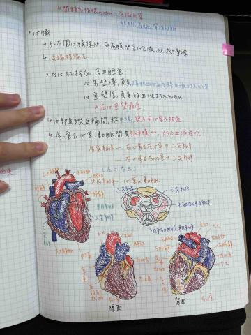 林顥耘｜宜蘭縣教學 - 分科測驗 生物筆記