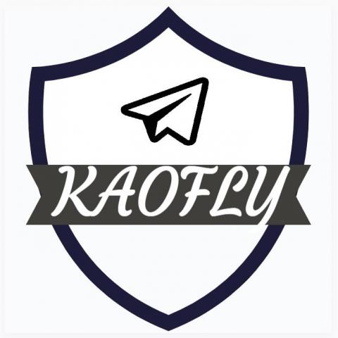 提供178服務的專家高飛