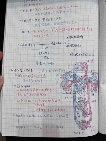 林顥耘｜宜蘭縣教學 - 分科測驗 生物筆記