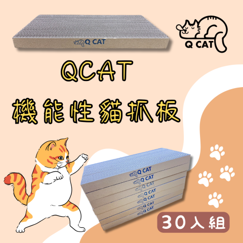 創藝空間 - 20240110-QCAT貓抓板