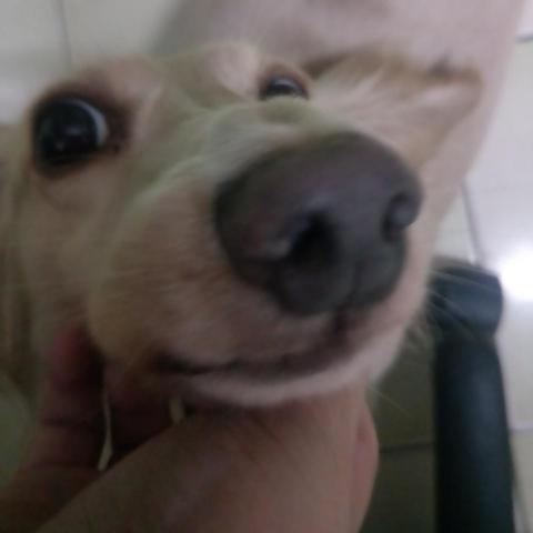 提供電鍋飯服務的專家佳軒