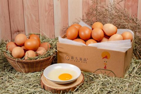 GLAM SHUTTER STUDIO - 商品攝影 | 嘉大蛋品 GLAM SHUTTER STUDIO - 商品攝影 | 嘉大蛋品