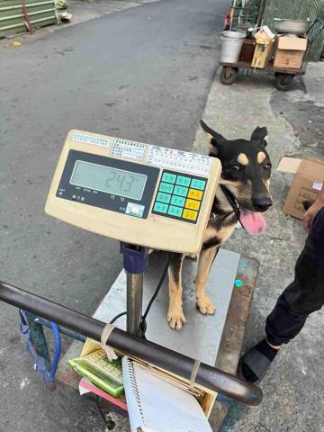 睿陽資源回收 - 