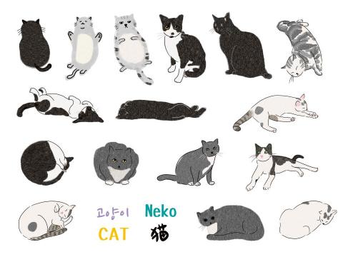 Aman Art Design阿曼藝術設計 - 插畫設計