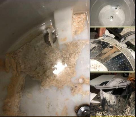 賴威升 - 洗機機保養