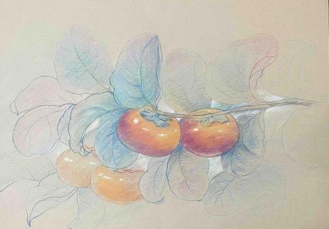 石志明 - 色鉛筆