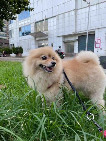 王婕 - 帶阿迪像帶一朵輕飄飄的棉花糖