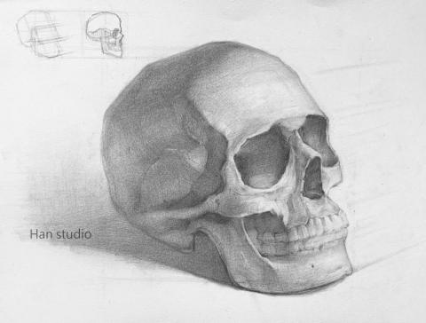 Han studio  邱柏翰 - 頭骨結構素描示範，訓練形狀轉側面後的變化，
及對形狀起伏轉折觀察力
