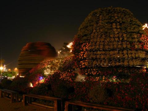 老十作黃程漢 - 