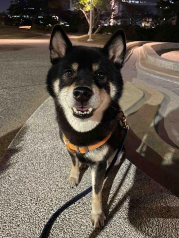 王婕 - 平常沒有太多表情，有食物五官會全部發亮的Moku 