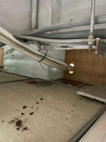 邊境環衛管理實業 -  邊境環衛管理實業 -