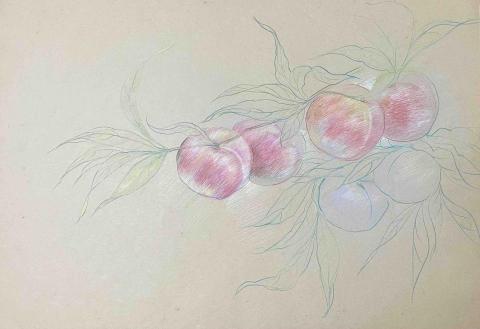 石志明 - 色鉛筆