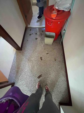 台中淨居夫妻 - 滿地的貓屎
到底是哪隻氣死人的喵喵