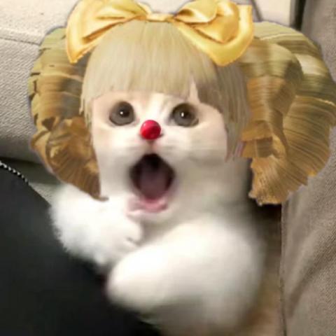 提供劉嘉雯服務的專家柳雯淇