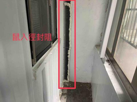 維興環衛有限公司 - 老鼠防治