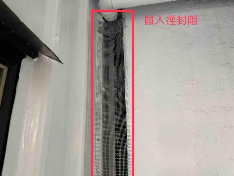 維興環衛有限公司 - 老鼠防治