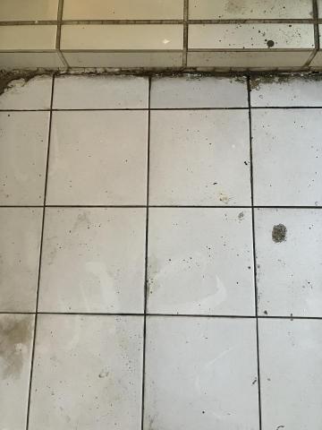 Vivian - 清潔後的陽台