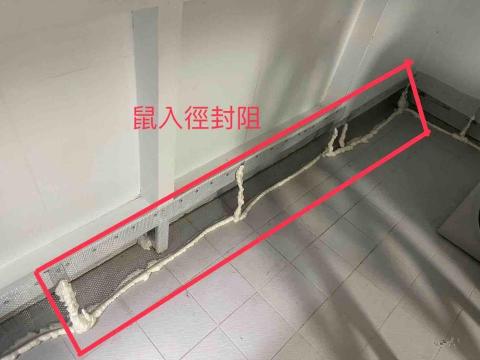 維興環衛有限公司 - 老鼠防治