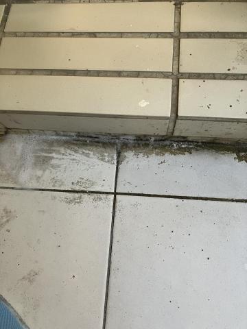 Vivian - 久未使用陽台