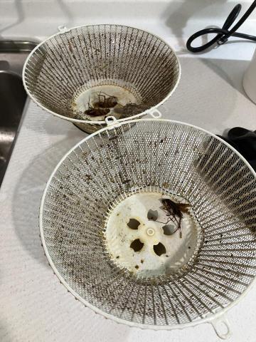 Vivian - 長年未清理的廚房