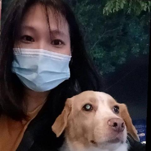 提供寄養狗服務的專家Julie   Shen 