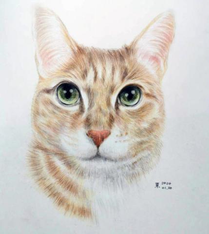 小星人俱樂部 - #色鉛筆 小星人俱樂部 - #色鉛筆