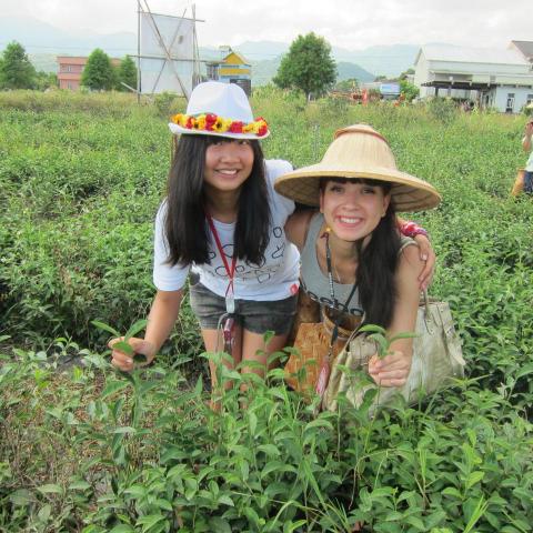 娜賈 Nadya - 採茶體驗＠宜蘭童玩節（2013）