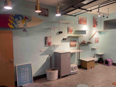 Raggae.bee - 一般住家房間內，施工內容：貓跳牆，空中步道等規劃設計，燈具施工，補土油漆等工程