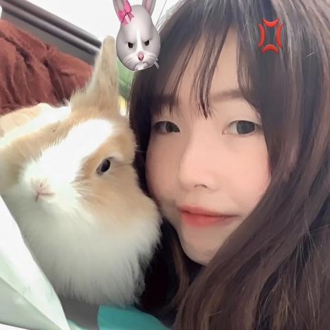 提供canva版權服務的專家何怡君