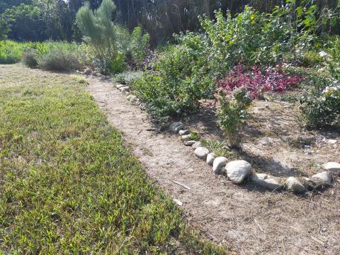 李柏瑩 - 自己的園區一角