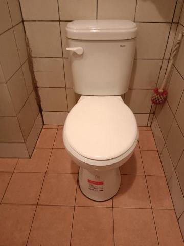 達洲水電 - 地板重做防水磁磚重貼安裝新馬桶